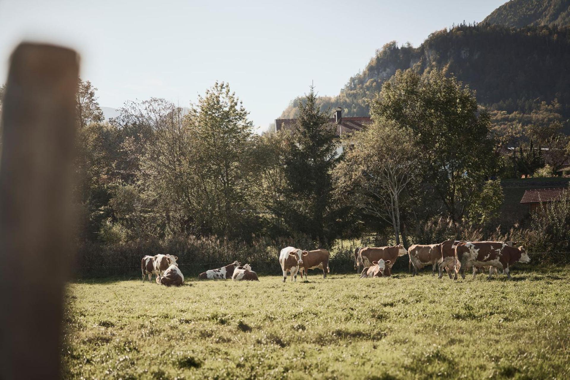 Hotel Rait'Ner Wirt Schleching Exterior foto