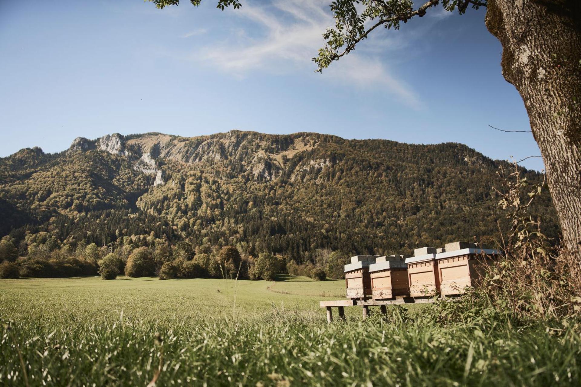 Hotel Rait'Ner Wirt Schleching Exterior foto